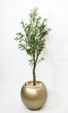 Ollie Artificial Olive tree 180cm