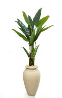 Peace Lily Artificial Tree 150cm