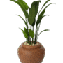 Artificial Bird of Paradise plant 150cm